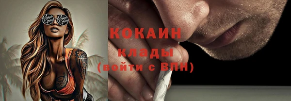 соль ск Волосово