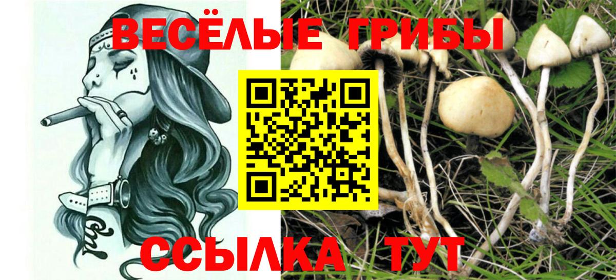 Галлюциногенные грибы GOLDEN TEACHER Белгород