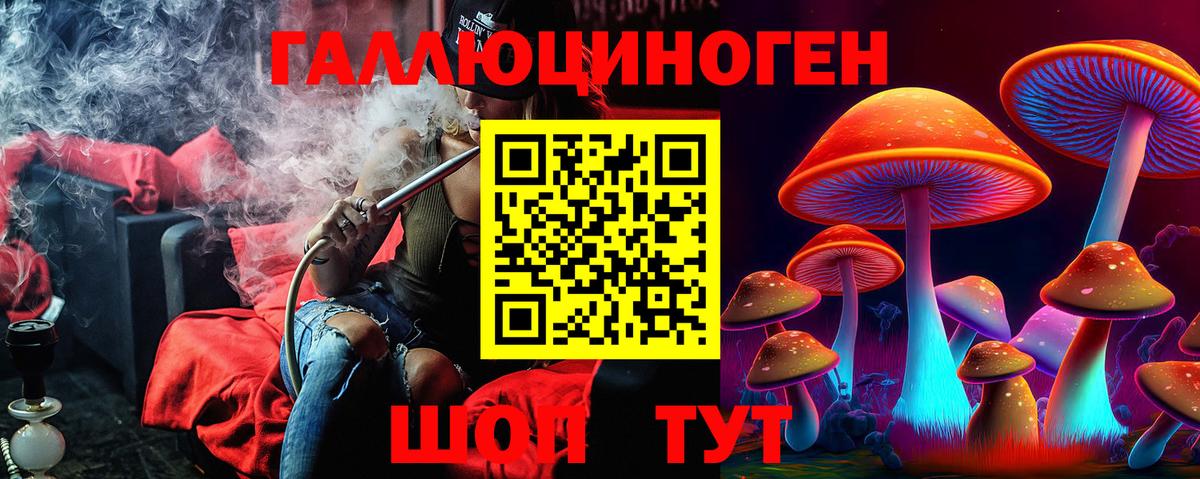 Псилоцибиновые грибы MAGIC MUSHROOMS  Вход с VPN  Белгород 